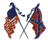 Seeevil Wahr Flags