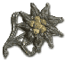 1./GJR 98 Edelwei&szlig;