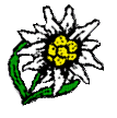Edelweiß