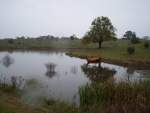 Ravensborg lake