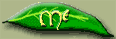 Me Page button