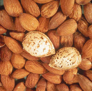 Almond (Prunus dulcis)