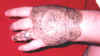 handnew2.JPG (8346 bytes)