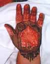 Hand with Henna before drying
