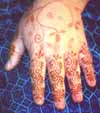 Top of hand detail